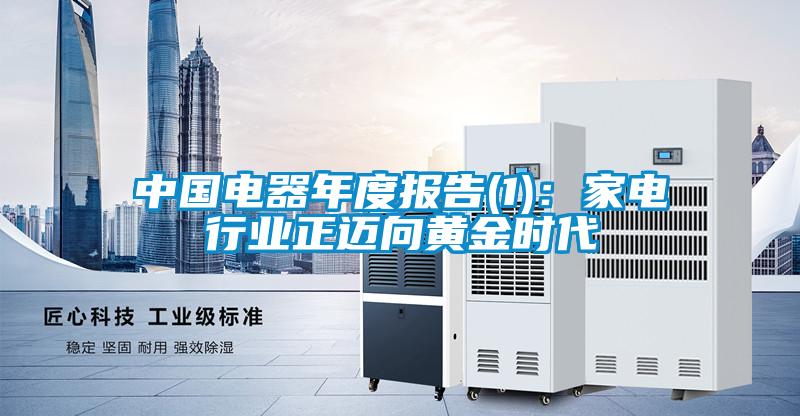 中國電器年度報(bào)告(1):家電行業(yè)正邁向黃金時(shí)代