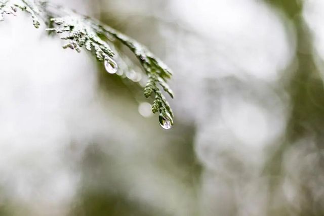 1586826306563097.jpg 1.jpg