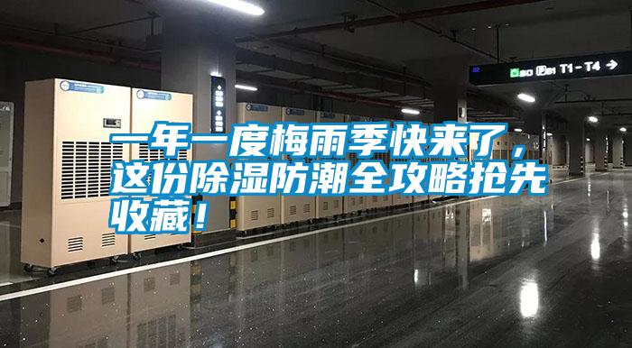 一年一度梅雨季快來了，這份除濕防潮全攻略搶先收藏！