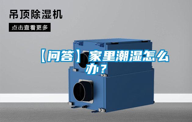 【問答】家里潮濕怎么辦?