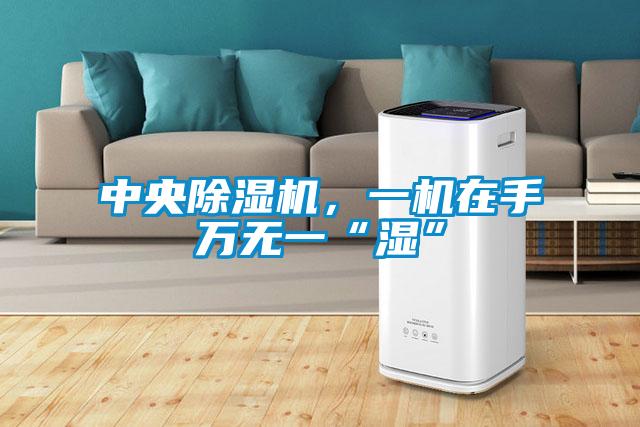中央除濕機(jī)，一機(jī)在手萬(wàn)無(wú)一“濕”