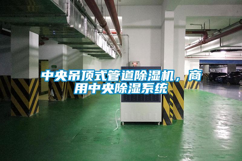 中央吊頂式管道除濕機，商用中央除濕系統