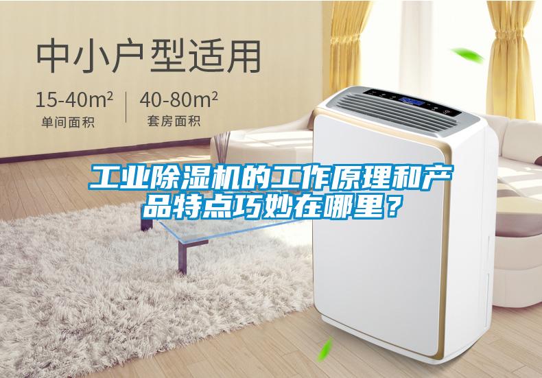工業除濕機的工作原理和產品特點巧妙在哪里?