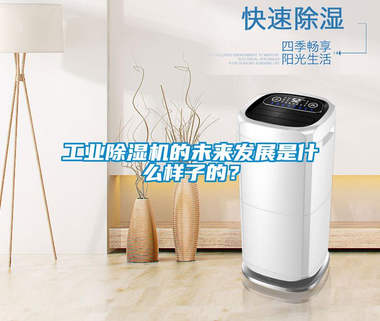工業除濕機的未來發展是什么樣子的?