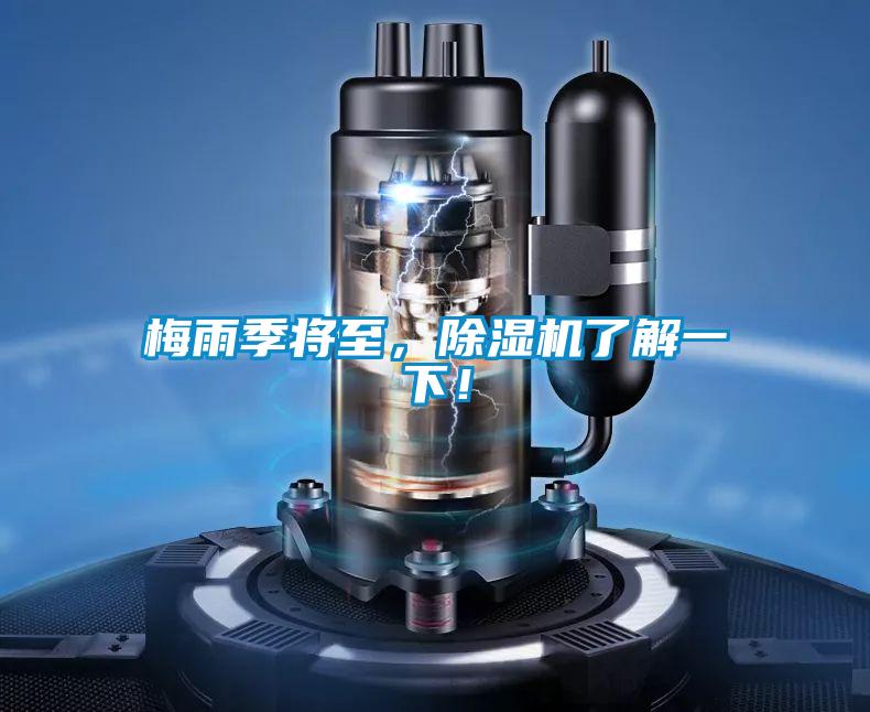 梅雨季將至，除濕機了解一下！