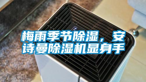 梅雨季節除濕，安詩曼除濕機顯身手