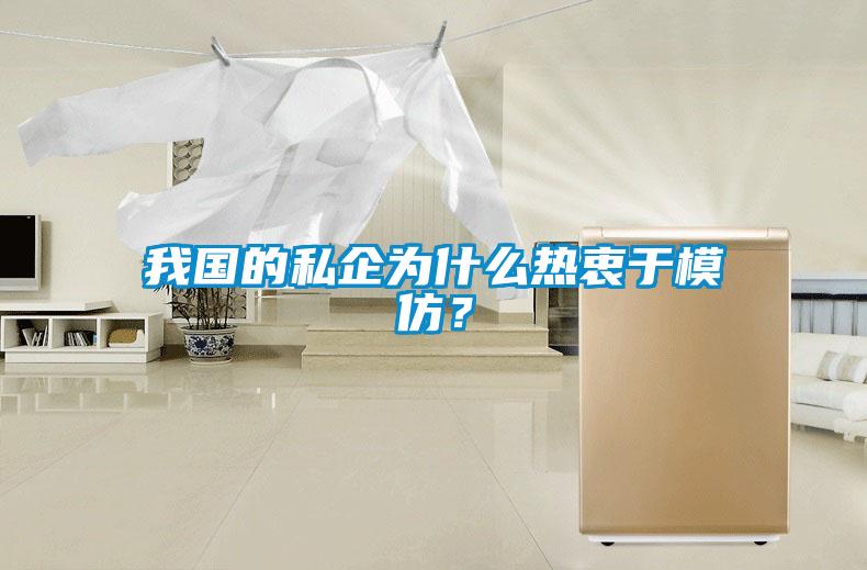 我國(guó)的私企為什么熱衷于模仿？