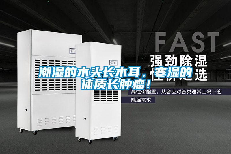 潮濕的木頭長木耳,寒濕的體質長腫瘤!