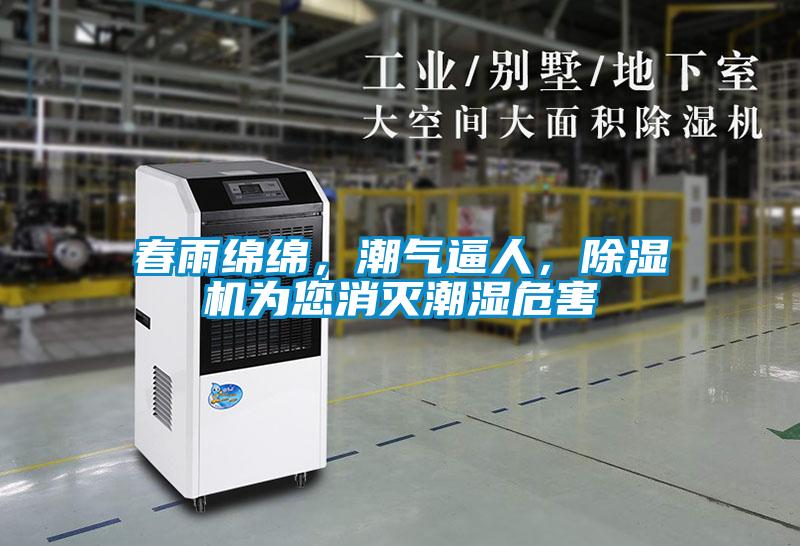 春雨綿綿，潮氣逼人，除濕機(jī)為您消滅潮濕危害