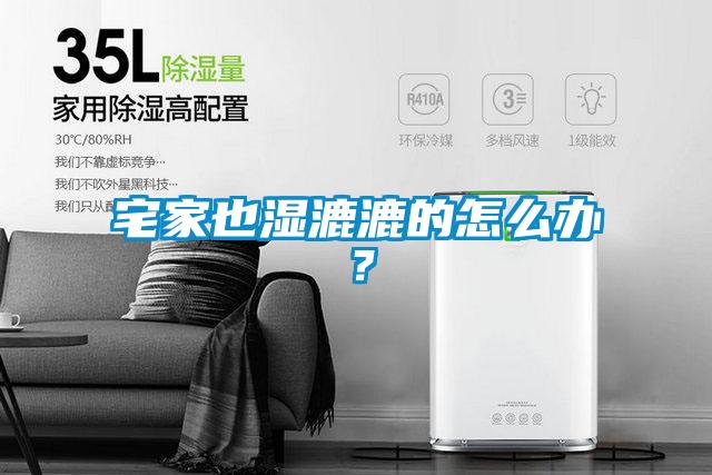 宅家也濕漉漉的怎么辦？
