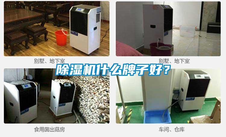 除濕機什么牌子好？