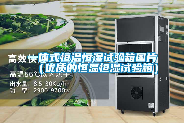 一體式恒溫恒濕試驗箱圖片（優質的恒溫恒濕試驗箱）