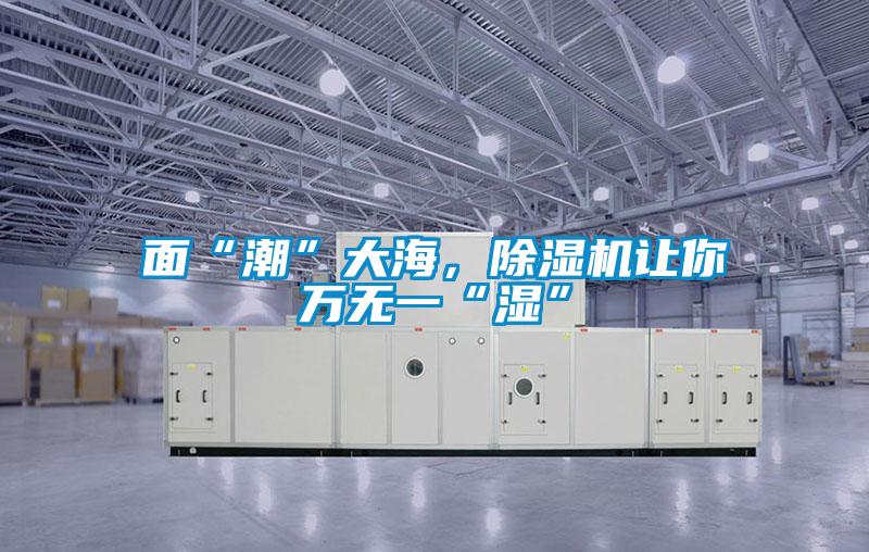 面“潮”大海,除濕機(jī)讓你萬無一“濕”