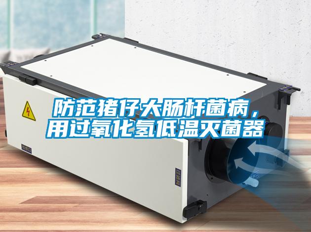 防范豬仔大腸桿菌病，用過(guò)氧化氫低溫滅菌器