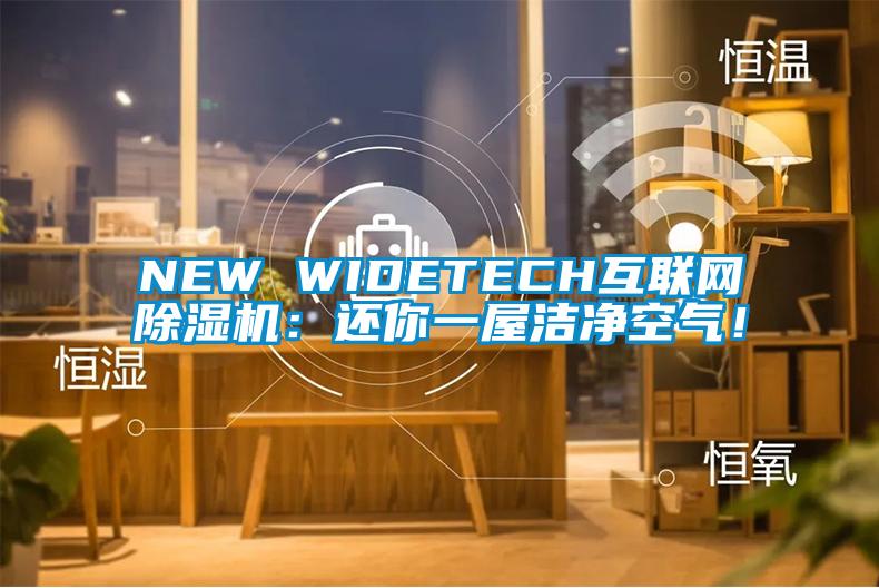 NEW WIDETECH互聯(lián)網(wǎng)除濕機：還你一屋潔凈空氣！