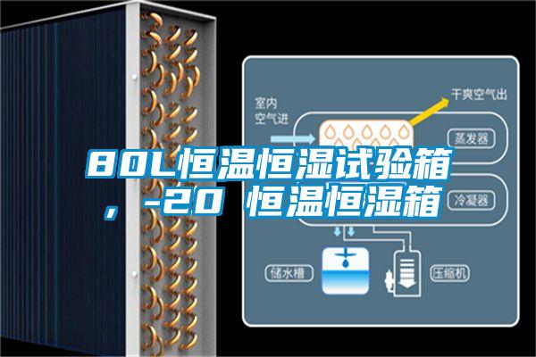 80L恒溫恒濕試驗箱,-20℃恒溫恒濕箱