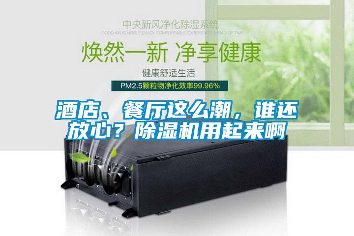 酒店、餐廳這么潮，誰還放心？除濕機用起來啊