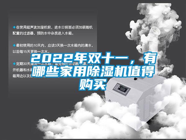 2022年雙十一,有哪些家用除濕機(jī)值得購(gòu)買(mǎi)