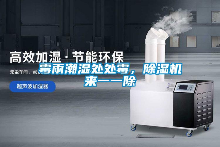 霉雨潮濕處處霉,除濕機(jī)來(lái)一一除