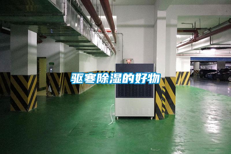 驅寒除濕的好物