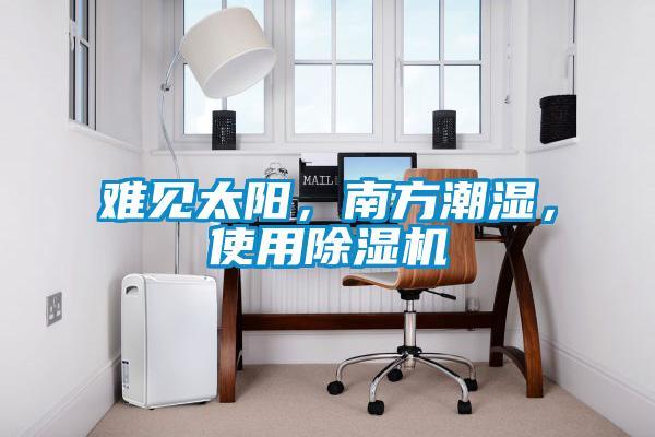 難見太陽,南方潮濕,使用除濕機