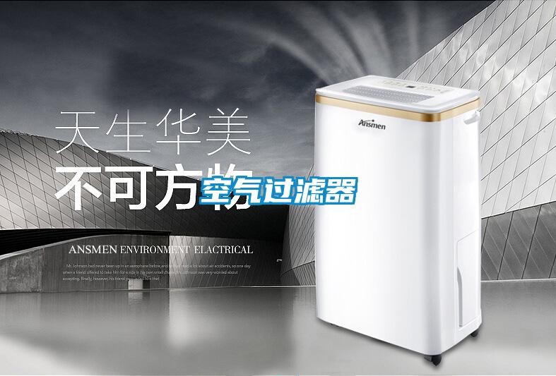 空氣過(guò)濾器