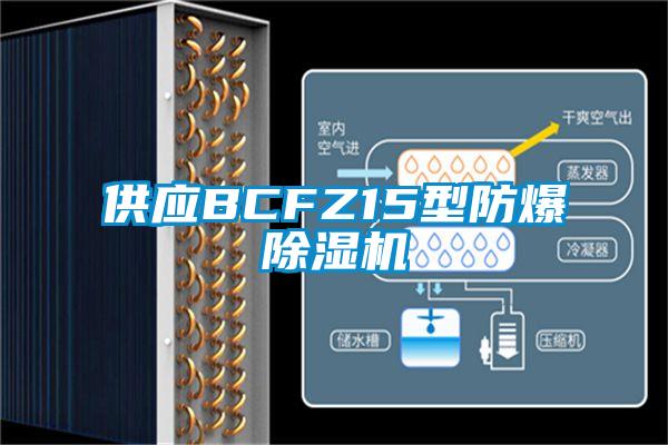 供應BCFZ15型防爆除濕機