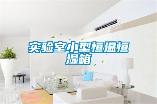 實(shí)驗(yàn)室小型恒溫恒濕箱