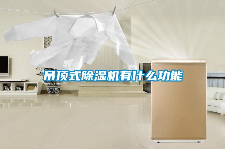 吊頂式除濕機(jī)有什么功能
