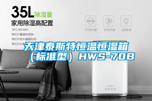 天津泰斯特恒溫恒濕箱(標準型)HWS-70B