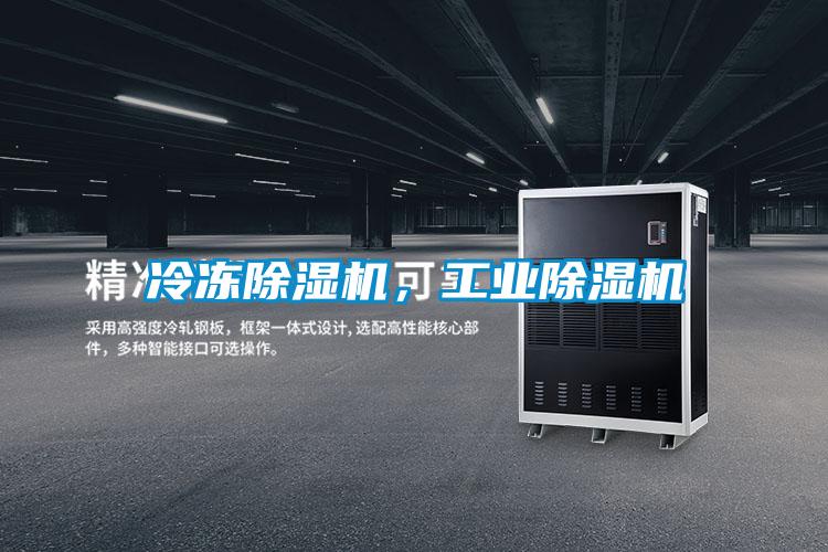 冷凍除濕機(jī),工業(yè)除濕機(jī)