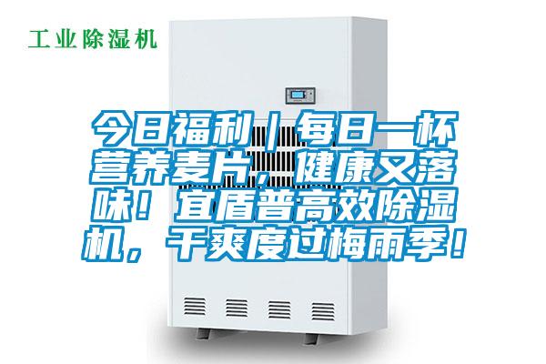 今日福利｜每日一杯營養(yǎng)麥片，健康又落味！宜盾普高效除濕機，干爽度過梅雨季！