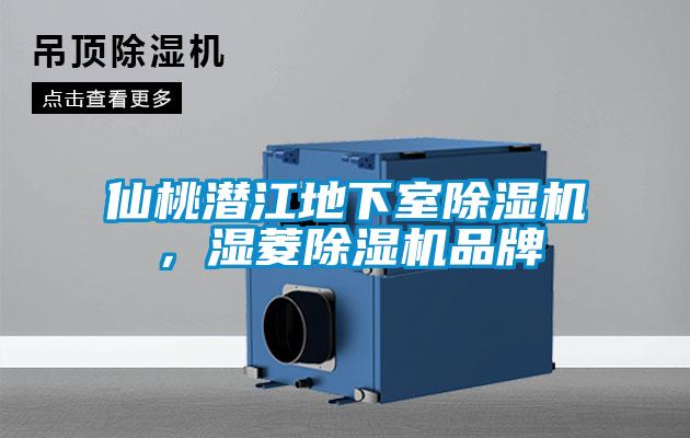 仙桃潛江地下室除濕機(jī)，濕菱除濕機(jī)品牌