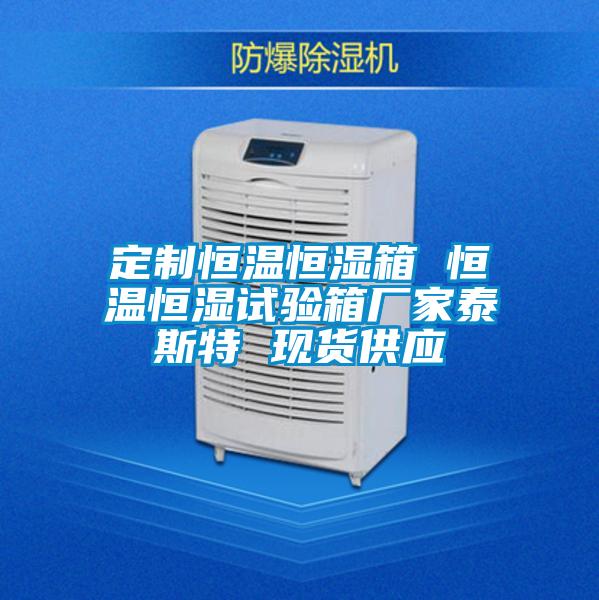 定制恒溫恒濕箱 恒溫恒濕試驗箱廠家泰斯特 現(xiàn)貨供應
