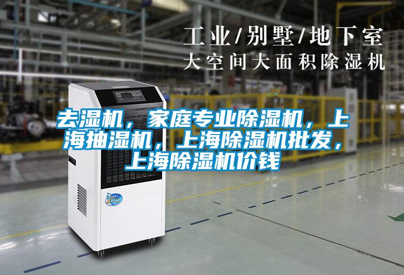 去濕機,家庭專業除濕機,上海抽濕機,上海除濕機批發,上海除濕機價錢