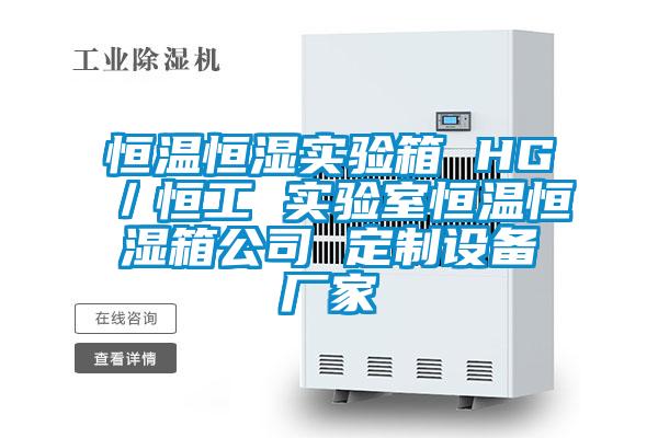 恒溫恒濕實驗箱 HG/恒工 實驗室恒溫恒濕箱公司 定制設備廠家