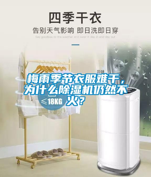 梅雨季節(jié)衣服難干，為什么除濕機仍然不火？