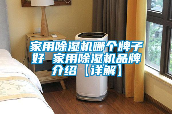 家用除濕機(jī)哪個(gè)牌子好 家用除濕機(jī)品牌介紹【詳解】