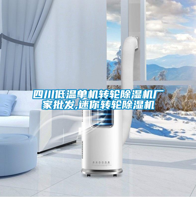 四川低溫單機轉(zhuǎn)輪除濕機廠家批發(fā),迷你轉(zhuǎn)輪除濕機