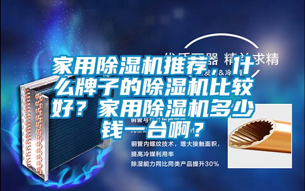 家用除濕機推薦，什么牌子的除濕機比較好？家用除濕機多少錢一臺?。?/></p>
						    <p style=