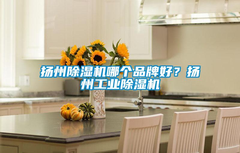 揚州除濕機哪個品牌好？揚州工業(yè)除濕機