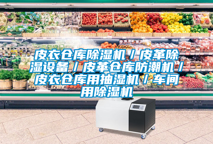 皮衣倉(cāng)庫(kù)除濕機(jī)/皮革除濕設(shè)備/皮革倉(cāng)庫(kù)防潮機(jī)/皮衣倉(cāng)庫(kù)用抽濕機(jī)/車間用除濕機(jī)