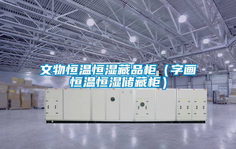 文物恒溫恒濕藏品柜(字畫(huà)恒溫恒濕儲(chǔ)藏柜)