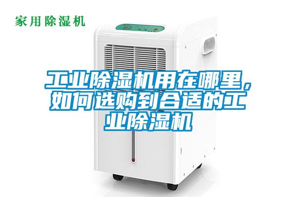 工業(yè)除濕機(jī)用在哪里，如何選購到合適的工業(yè)除濕機(jī)