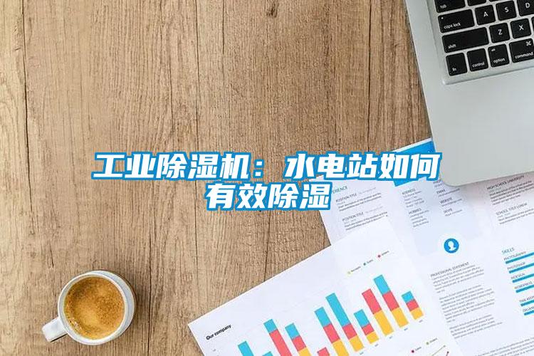 工業(yè)除濕機:水電站如何有效除濕