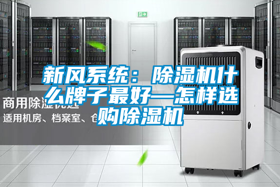 新風系統:除濕機什么牌子最好—怎樣選購除濕機