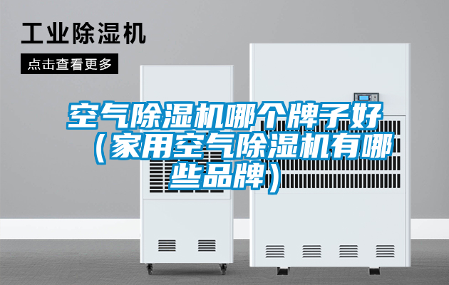 空氣除濕機哪個牌子好(家用空氣除濕機有哪些品牌)