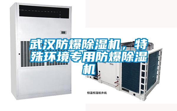 武漢防爆除濕機，特殊環(huán)境專用防爆除濕機