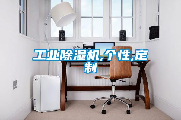 工業(yè)除濕機,個性,定制