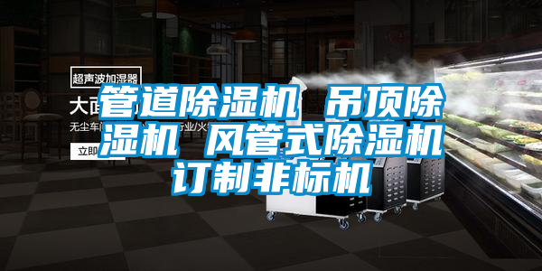 管道除濕機 吊頂除濕機 風管式除濕機訂制非標機